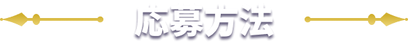 抽選方法